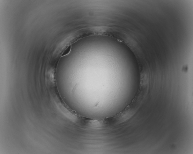 X0000110960238200906191319