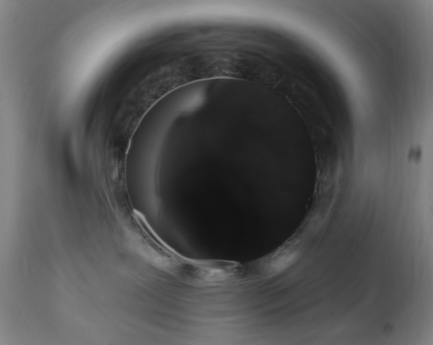 X0000110960239200906191319