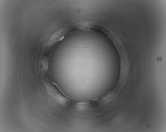 X0000110960240200906191319