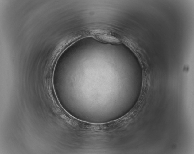 X0000110960241200906191319