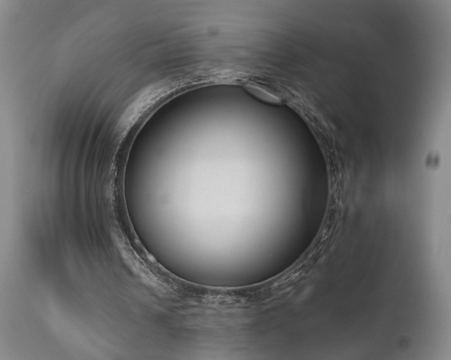 X0000110960242200906191319