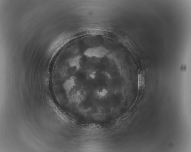 X0000110960243200906191319