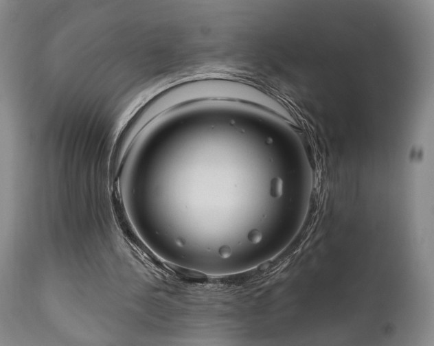 X0000110960244200906191319
