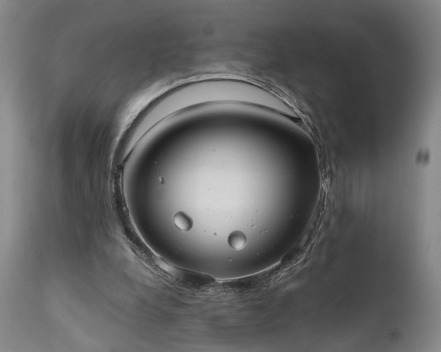 X0000110960248200906191319