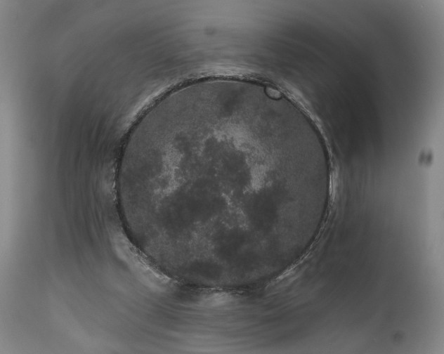 X0000110960249200906191319
