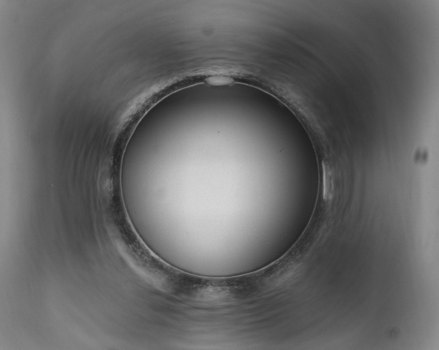 X0000110960252200906191319
