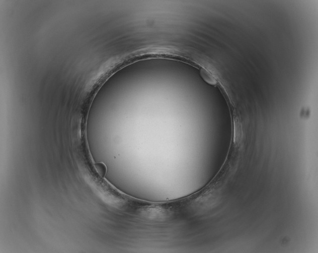 X0000110960253200906191319