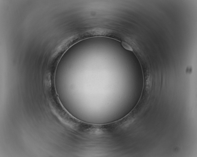 X0000110960254200906191319