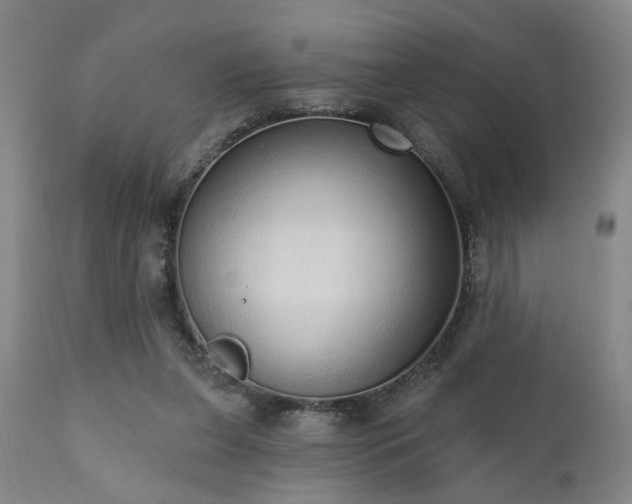 X0000110960255200906191319