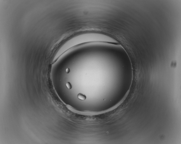 X0000110960256200906191319