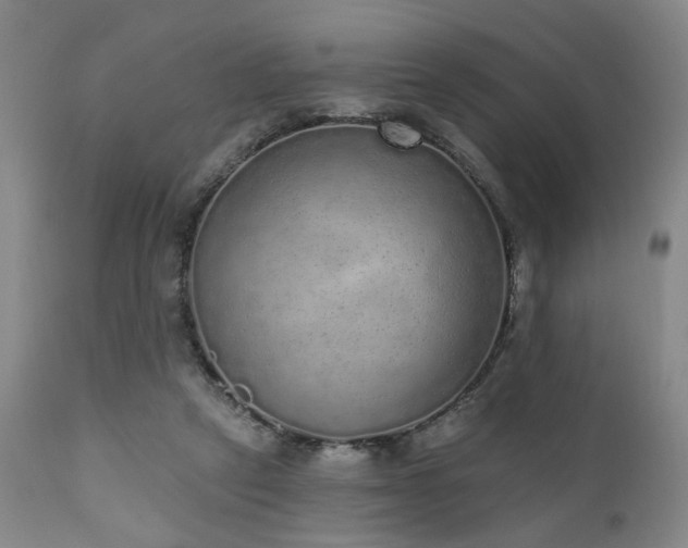 X0000110960257200906191319