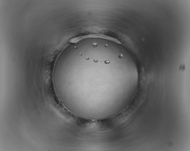 X0000110960259200906191319