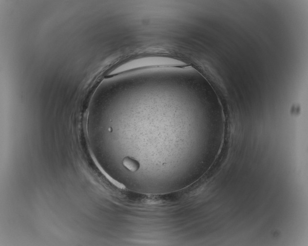 X0000110960260200906191319