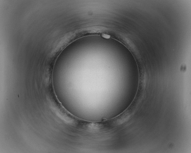 X0000110960261200906191319