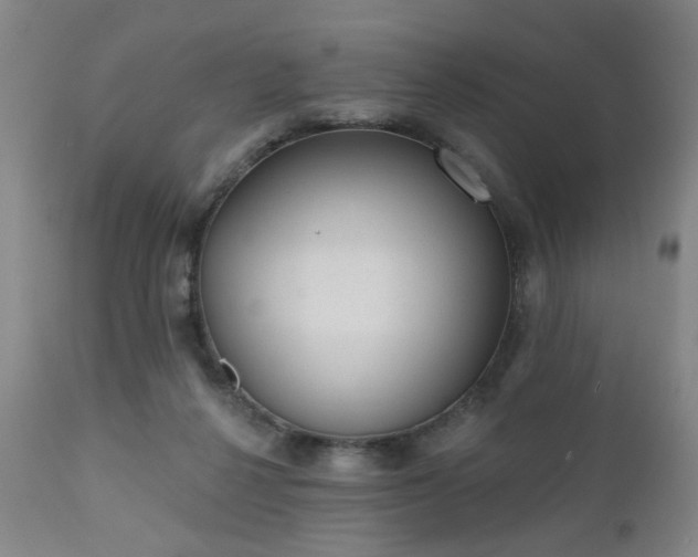 X0000110960264200906191319