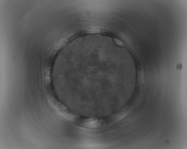 X0000110960267200906191319