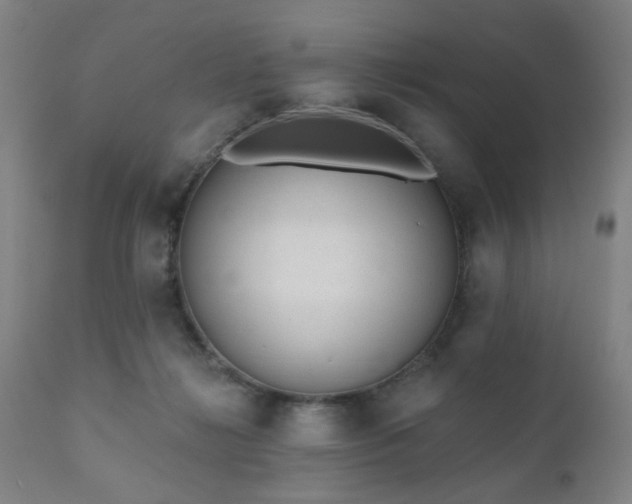 X0000110960268200906191319