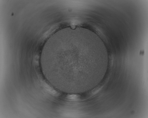 X0000110960269200906191319