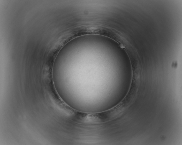 X0000110960270200906191319