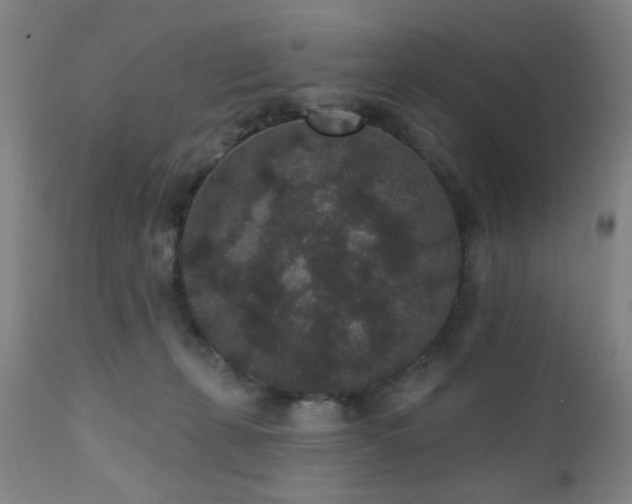 X0000110960271200906191319
