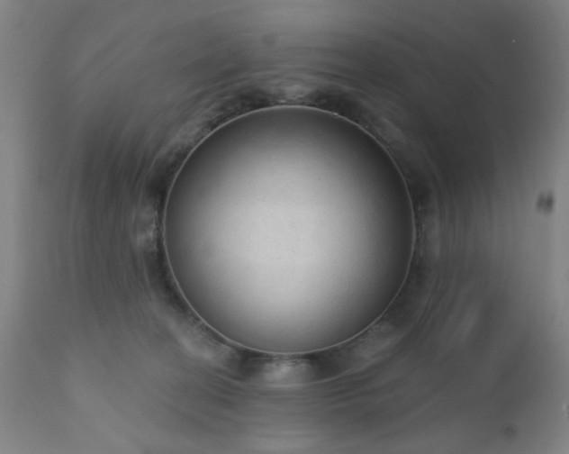 X0000110960274200906191319