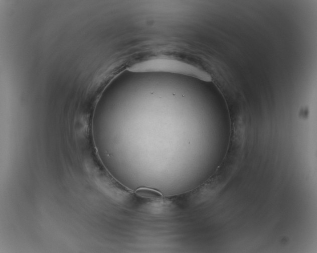 X0000110960278200906191319