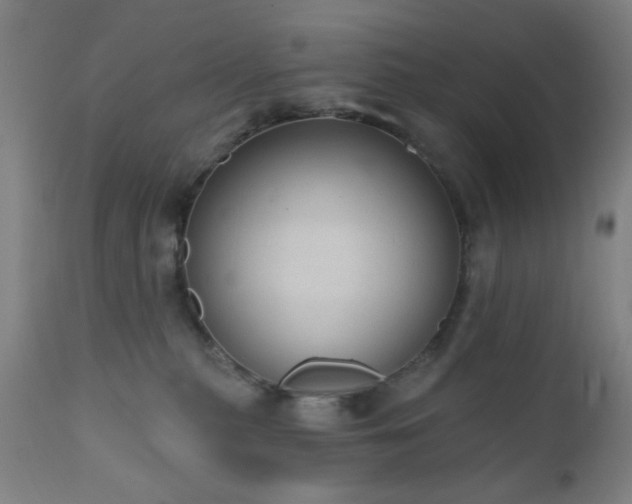 X0000110960279200906191319