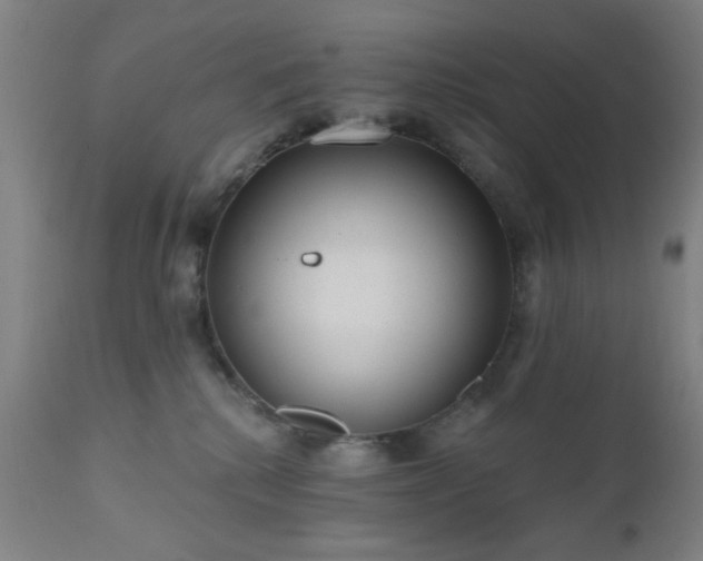 X0000110960280200906191319