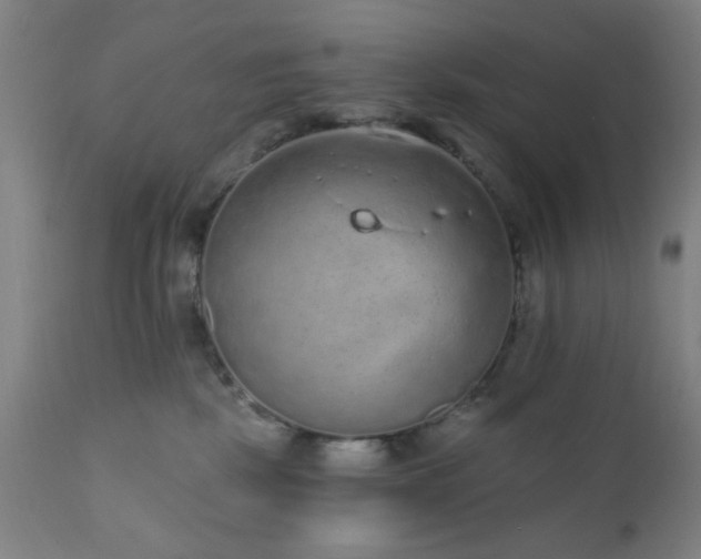X0000110960281200906191319