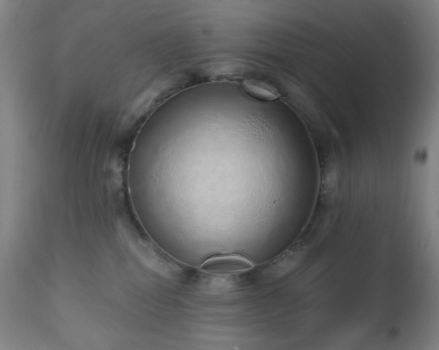 X0000110960282200906191319