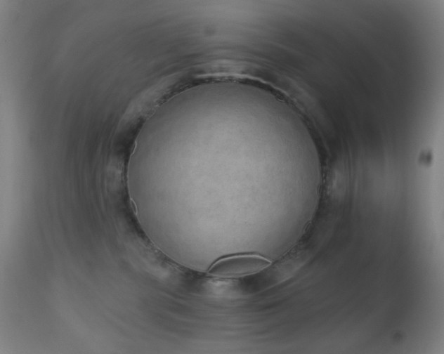 X0000110960283200906191319