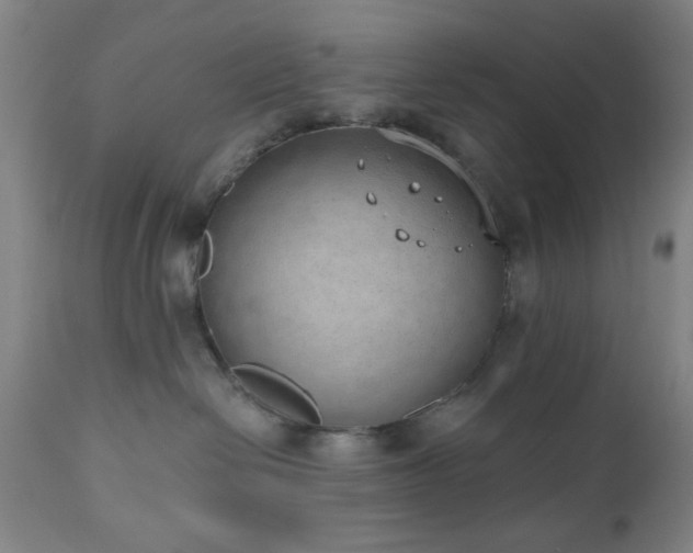 X0000110960286200906191319