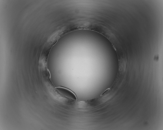 X0000110960287200906191319