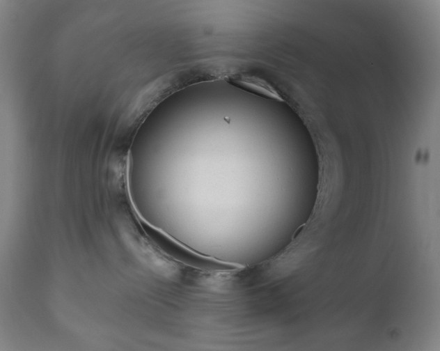 X0000110960288200906191319