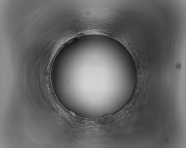 X0000110960289200906191319