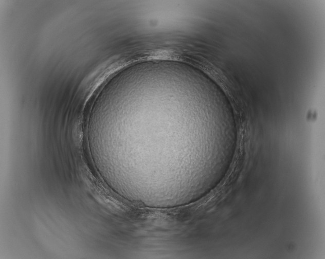 X0000110960290200906191319