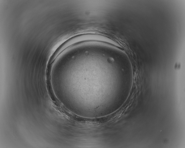 X0000110960292200906191319
