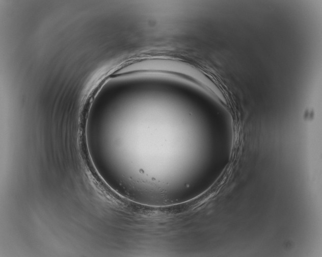 X0000110960293200906191319
