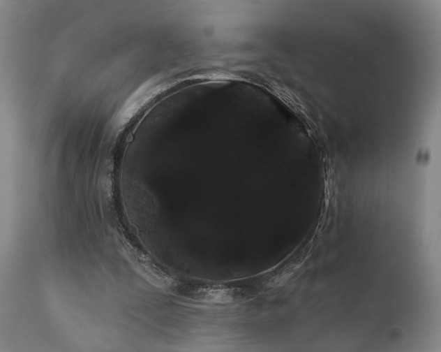 X0000110960295200906191319