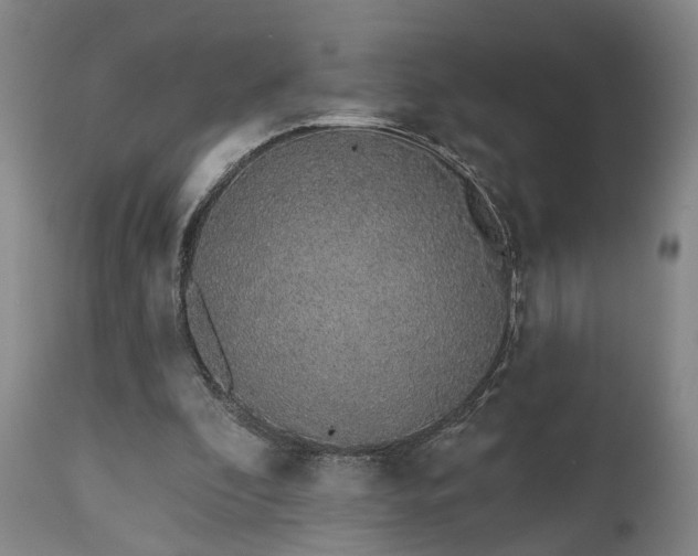 X0000110960296200906191319