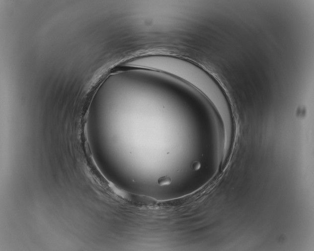 X0000110960297200906191319