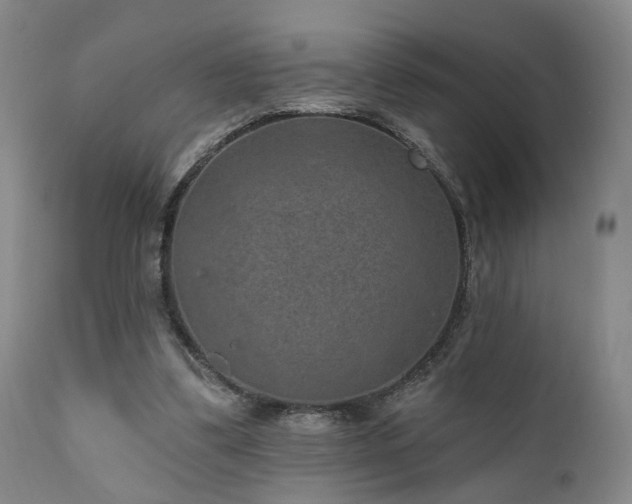 X0000110960299200906191319