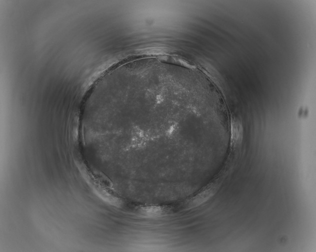 X0000110960301200906191319