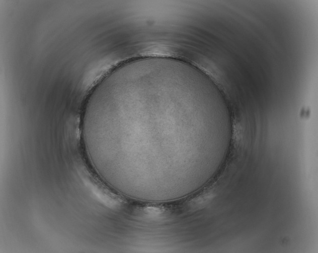 X0000110960302200906191319