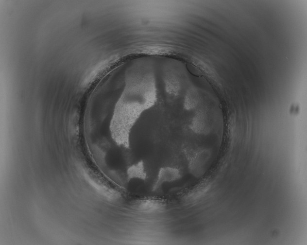 X0000110960303200906191319
