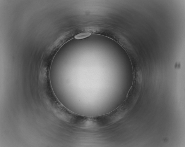 X0000110960308200906191318