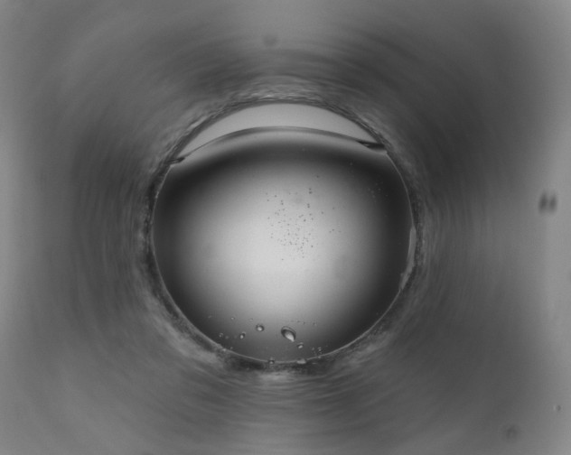 X0000110960309200906191318