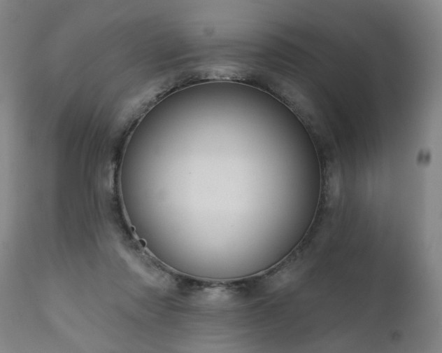X0000110960310200906191318