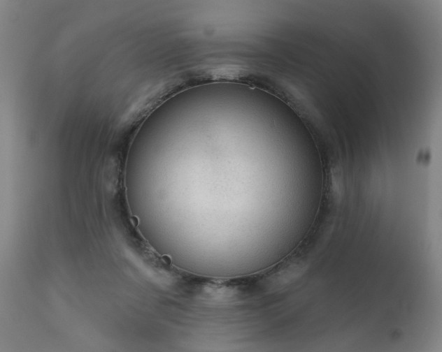 X0000110960311200906191318
