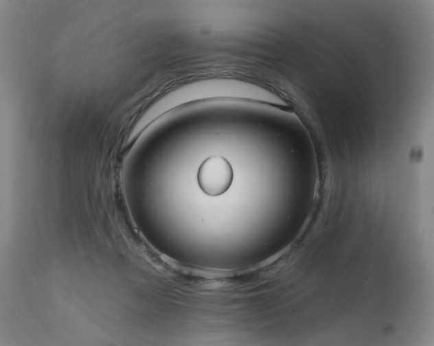 X0000110960313200906191318